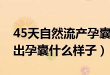 45天自然流产孕囊是什么样的（42天流产排出孕囊什么样子）