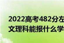 2022高考482分左右能上哪些大学（新高考文理科能报什么学校）