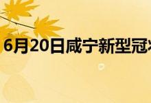 6月20日咸宁新型冠状病毒肺炎疫情最新消息