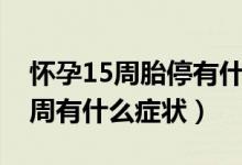 怀孕15周胎停有什么症状或征兆吗（怀孕15周有什么症状）