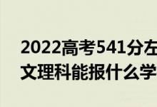 2022高考541分左右能上哪些大学（新高考文理科能报什么学校）