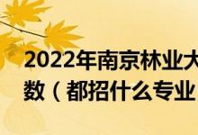 2022年南京林业大学各省招生计划及招生人数（都招什么专业）