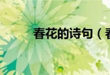 春花的诗句（春花的诗句有什么）