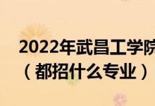 2022年武昌工学院各省招生计划及招生人数（都招什么专业）