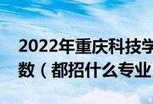 2022年重庆科技学院各省招生计划及招生人数（都招什么专业）