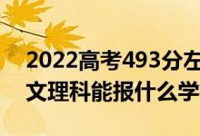 2022高考493分左右能上哪些大学（新高考文理科能报什么学校）