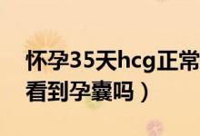 怀孕35天hcg正常值参考范围（怀孕35天能看到孕囊吗）