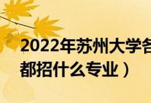 2022年苏州大学各省招生计划及招生人数（都招什么专业）