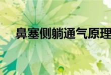 鼻塞侧躺通气原理（鼻塞的原理是什么）