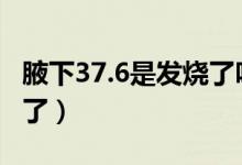 腋下37.6是发烧了吗（腋下37度6是不是发烧了）