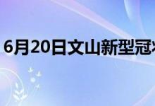 6月20日文山新型冠状病毒肺炎疫情最新消息