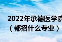 2022年承德医学院各省招生计划及招生人数（都招什么专业）