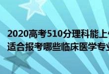 2020高考510分理科能上什么大学（2022年高考510分左右适合报考哪些临床医学专业大学）