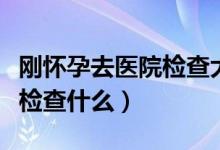 刚怀孕去医院检查大概多少钱（刚怀孕去医院检查什么）