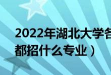 2022年湖北大学各省招生计划及招生人数（都招什么专业）