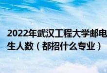 2022年武汉工程大学邮电与信息工程学院各省招生计划及招生人数（都招什么专业）