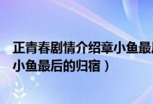 正青春剧情介绍章小鱼最后和谁在一起了（正青春剧情及章小鱼最后的归宿）