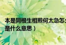 本是同根生相煎何太急怎么怼回去（本是同根生 相煎何太急是什么意思）