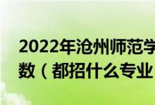 2022年沧州师范学院各省招生计划及招生人数（都招什么专业）