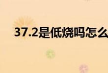 37.2是低烧吗怎么降温（37.2是低烧吗）