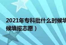 2021年专科批什么时候填报志愿（2022高考专科批什么时候填报志愿）