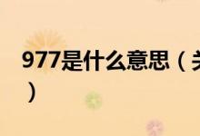 977是什么意思（关于977是什么意思的介绍）