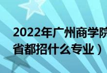 2022年广州商学院招生计划及招生人数（各省都招什么专业）