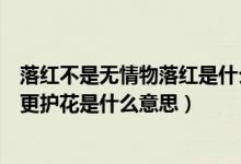 落红不是无情物落红是什么意思（落红不是无情物化作春泥更护花是什么意思）