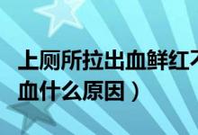 上厕所拉出血鲜红不痛会自愈吗（上厕所拉出血什么原因）