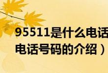 95511是什么电话号码（关于95511是什么电话号码的介绍）