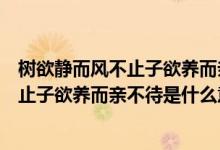 树欲静而风不止子欲养而亲不待是什么意思（树欲静而风不止子欲养而亲不待是什么意思）