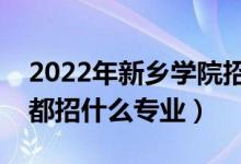 2022年新乡学院招生计划及招生人数（各省都招什么专业）