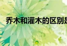 乔木和灌木的区别是什么（灌木的的简介）