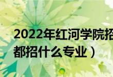 2022年红河学院招生计划及招生人数（各省都招什么专业）