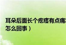 耳朵后面长个疙瘩有点痛怎么回事（耳朵后边长疙瘩还很疼怎么回事）