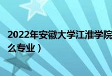 2022年安徽大学江淮学院招生计划及招生人数（各省都招什么专业）