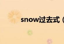 snow过去式（给大家介绍一下）