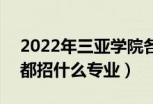 2022年三亚学院各省招生计划及招生人数（都招什么专业）