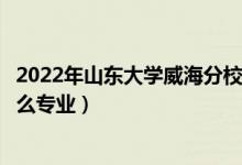 2022年山东大学威海分校招生计划及招生人数（各省都招什么专业）