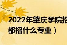 2022年肇庆学院招生计划及招生人数（各省都招什么专业）