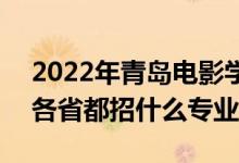 2022年青岛电影学院招生计划及招生人数（各省都招什么专业）