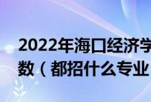 2022年海口经济学院各省招生计划及招生人数（都招什么专业）