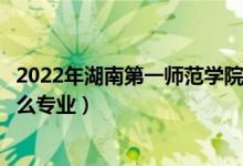 2022年湖南第一师范学院招生计划及招生人数（各省都招什么专业）