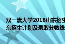 双一流大学2018山东招生分数线（2022年双一流大学在山东招生计划及录取分数线）