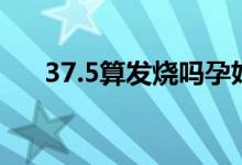 37.5算发烧吗孕妇（37.5℃算发烧吗）