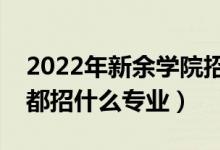 2022年新余学院招生计划及招生人数（各省都招什么专业）