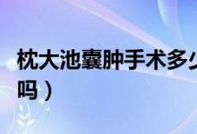 枕大池囊肿手术多少钱（脑部枕大池囊肿严重吗）