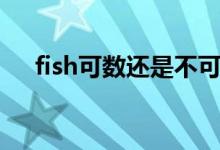 fish可数还是不可数（fish的复数形式）