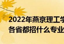 2022年燕京理工学院招生计划及招生人数（各省都招什么专业）