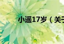 小遥17岁（关于小遥17岁的介绍）